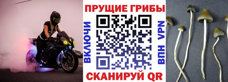 Псилоцибиновые грибы прущие грибы  Купить  Тетюши 